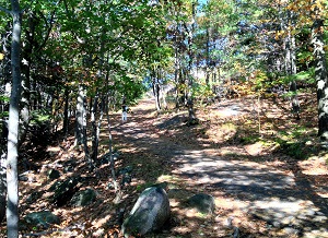 Lake George Hiking Prospect Mountain - in the woods
